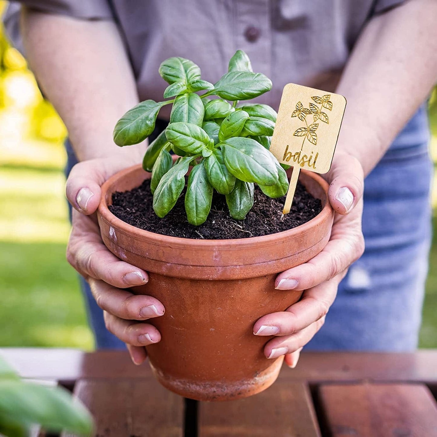 12 - Pack Wooden Plant Labels: Garden Organization & Decor Set - Nourishment Tapestry