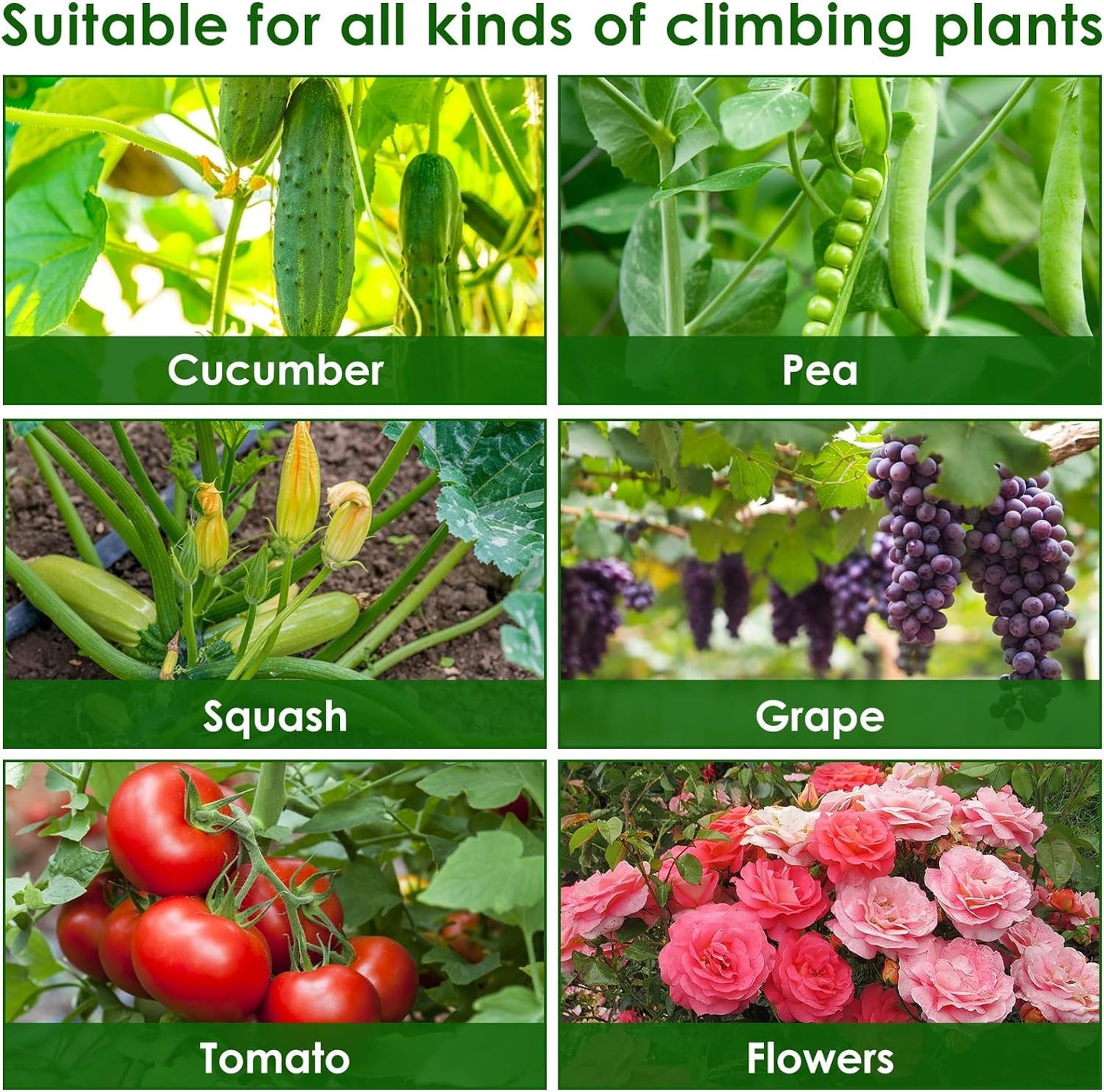 A - Frame Trellis for Climbing Plants: Garden Support for Cucumbers, Tomatoes, and Vegetables - Nourishment Tapestry