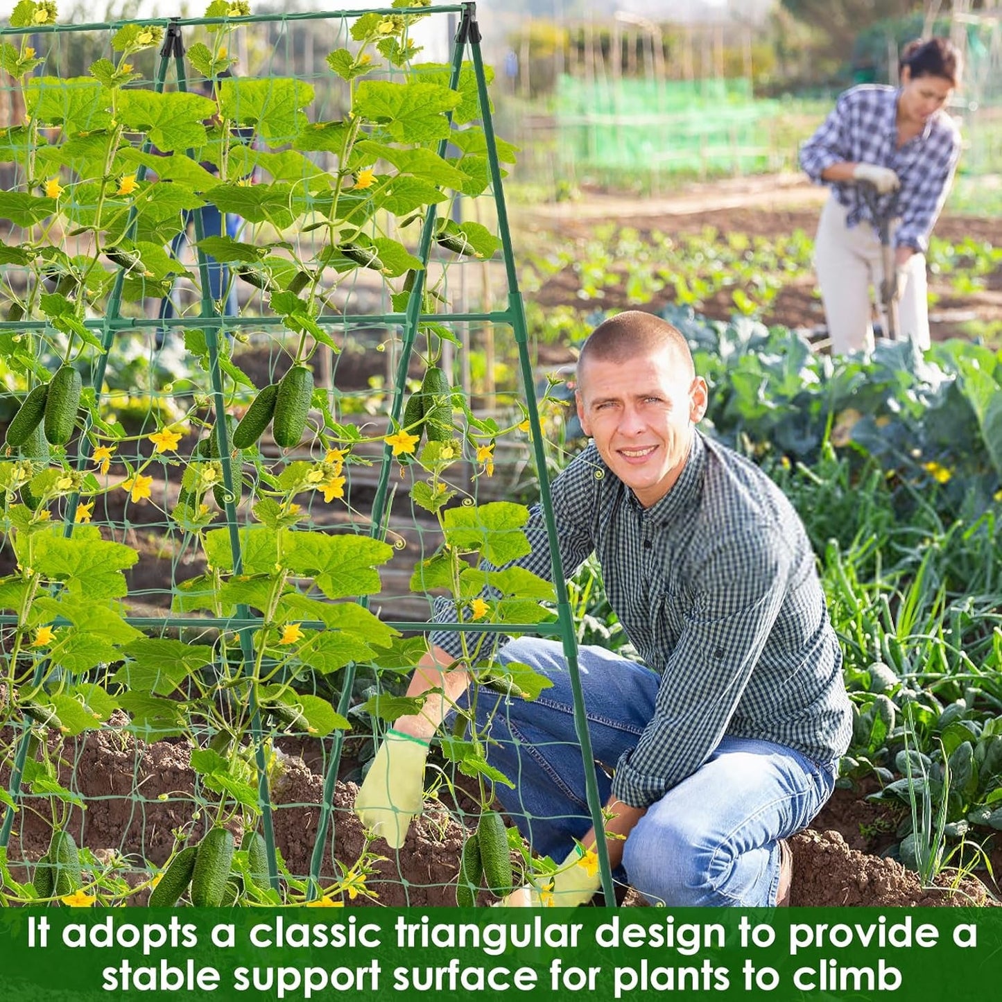 A - Frame Trellis for Climbing Plants: Garden Support for Cucumbers, Tomatoes, and Vegetables - Nourishment Tapestry