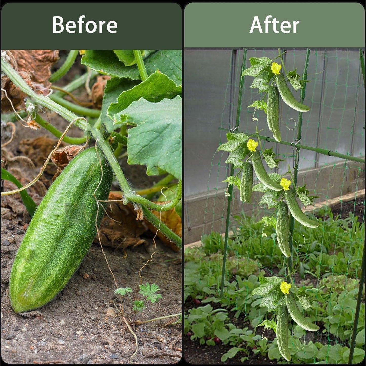 Cucumber Trellis for Garden | U - Shaped Climbing Plant Support with Net - Nourishment Tapestry