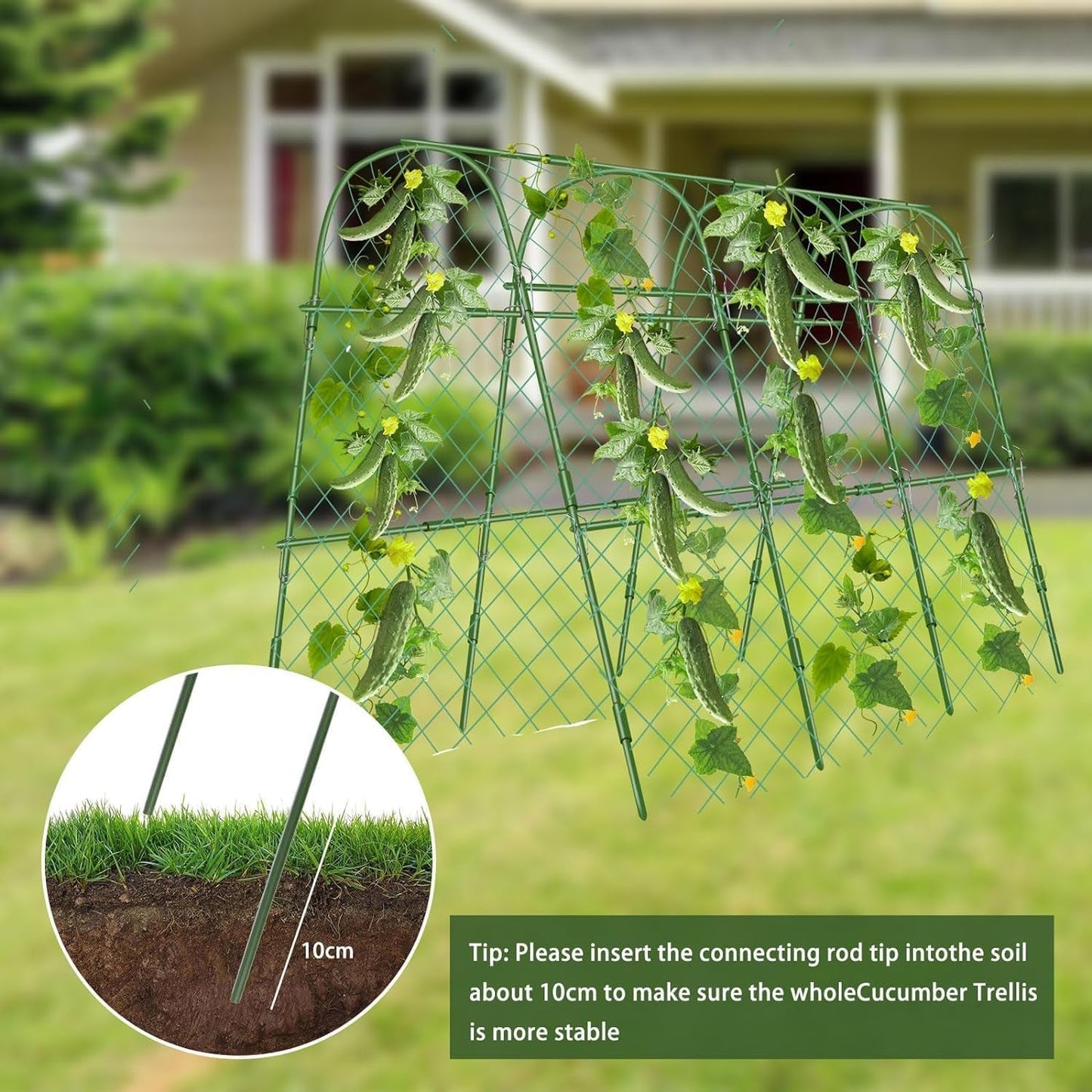 Cucumber Trellis for Garden | U - Shaped Climbing Plant Support with Net - Nourishment Tapestry