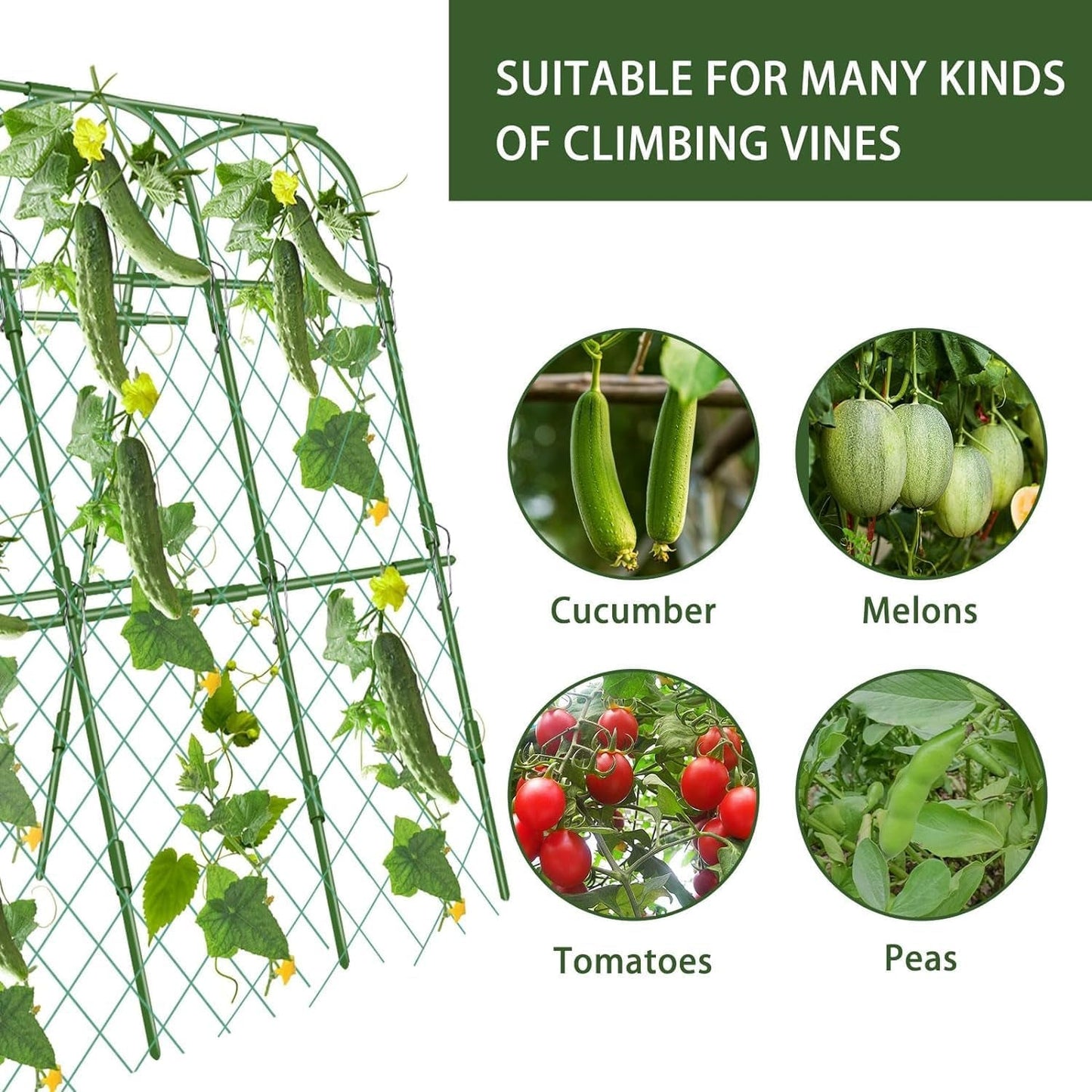 Cucumber Trellis for Garden | U - Shaped Climbing Plant Support with Net - Nourishment Tapestry