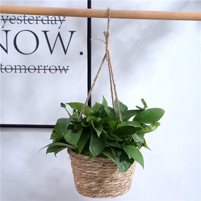 Macrame Plant Hanger: Versatile Jute Rope Basket for Indoor/Outdoor Decor - Nourishment Tapestry