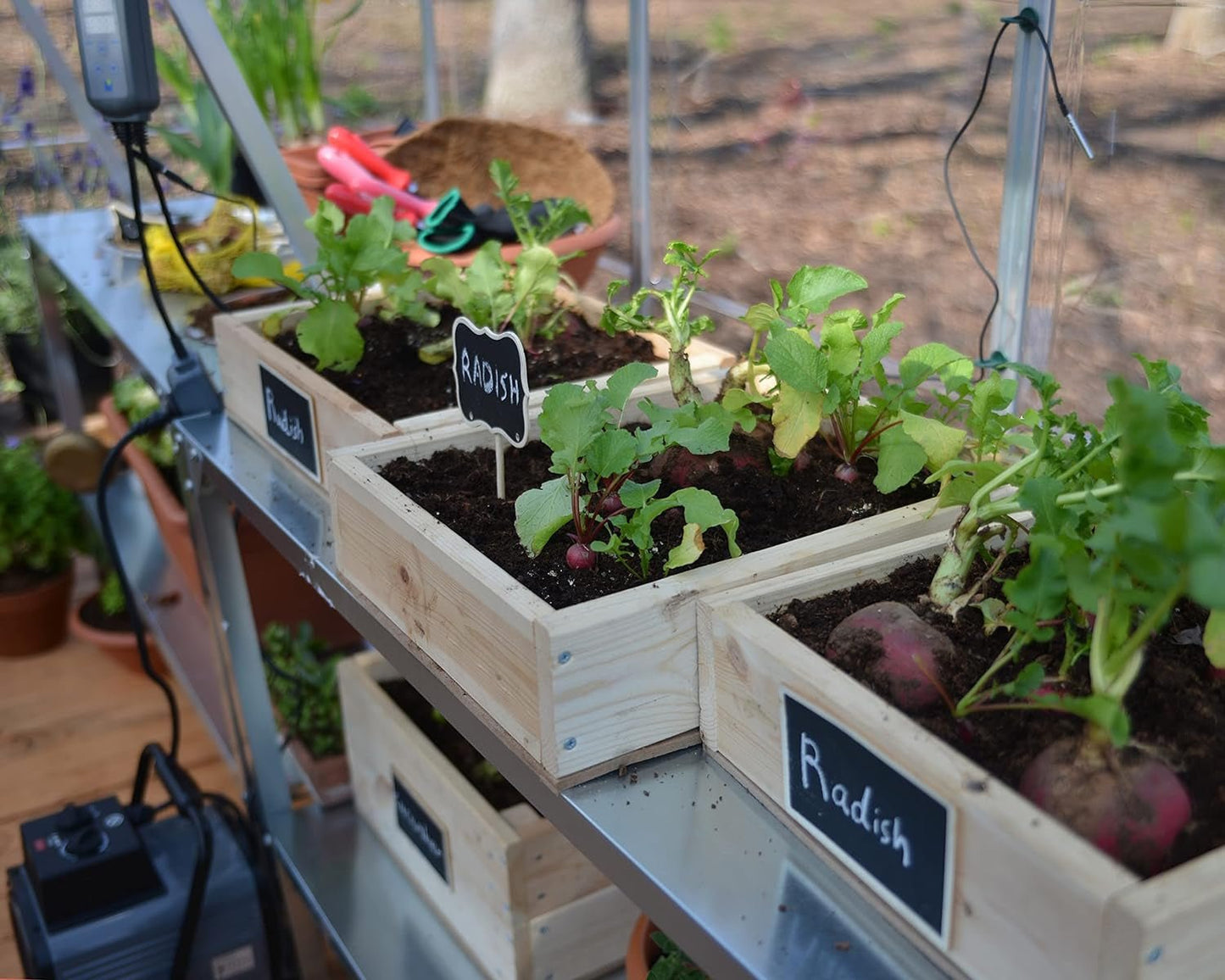 Nature Series Silver Hybrid Greenhouse: 6'x4'x7' Spacious Hobby Garden Sanctuary - Buy Online Now - Nourishment Tapestry
