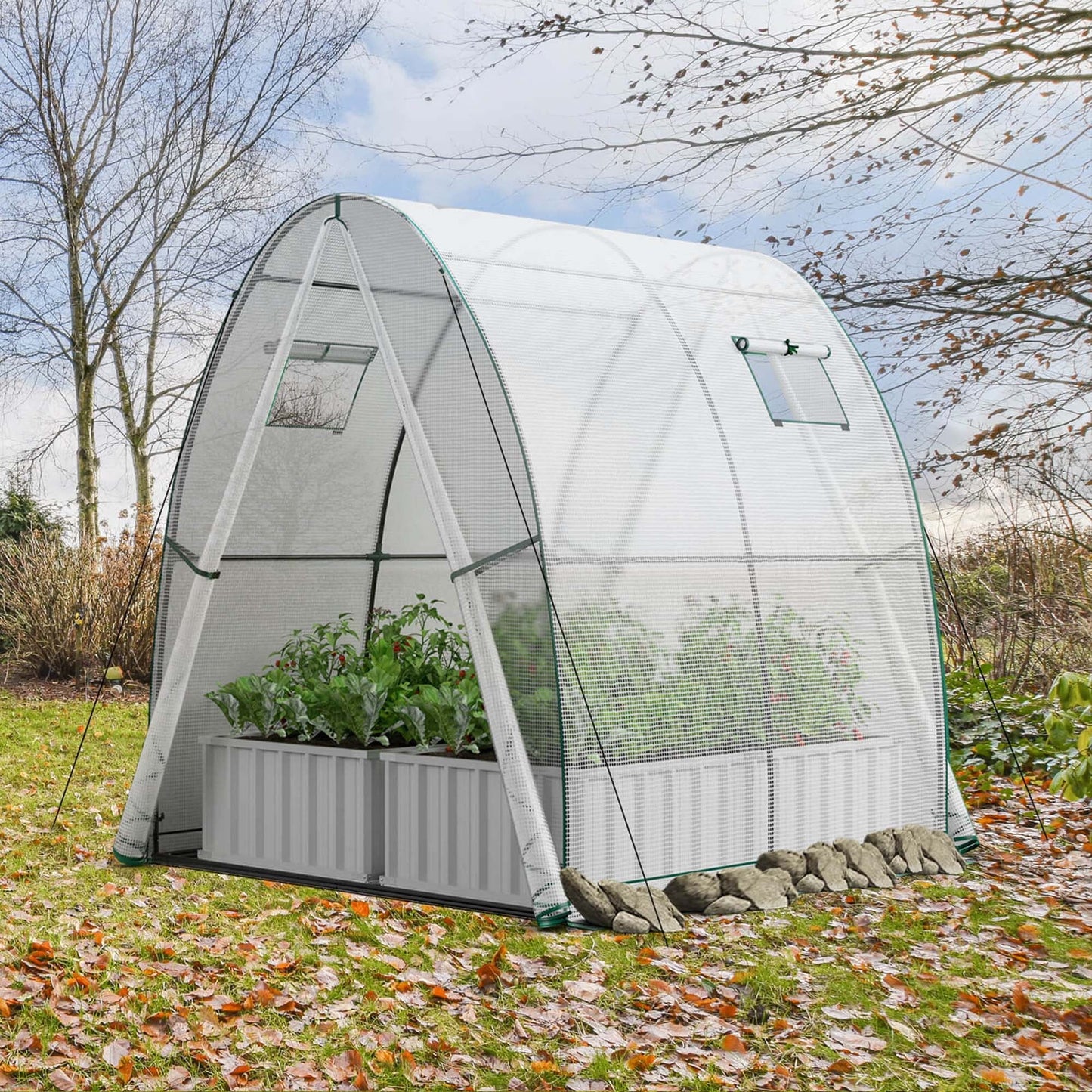 Portable Greenhouse 6x6x6.6 FT: Easy - Access 2 - Door, Ventilated Windows, Spacious Plant Sanctuary - Grow Your Plants in Style! - Nourishment Tapestry
