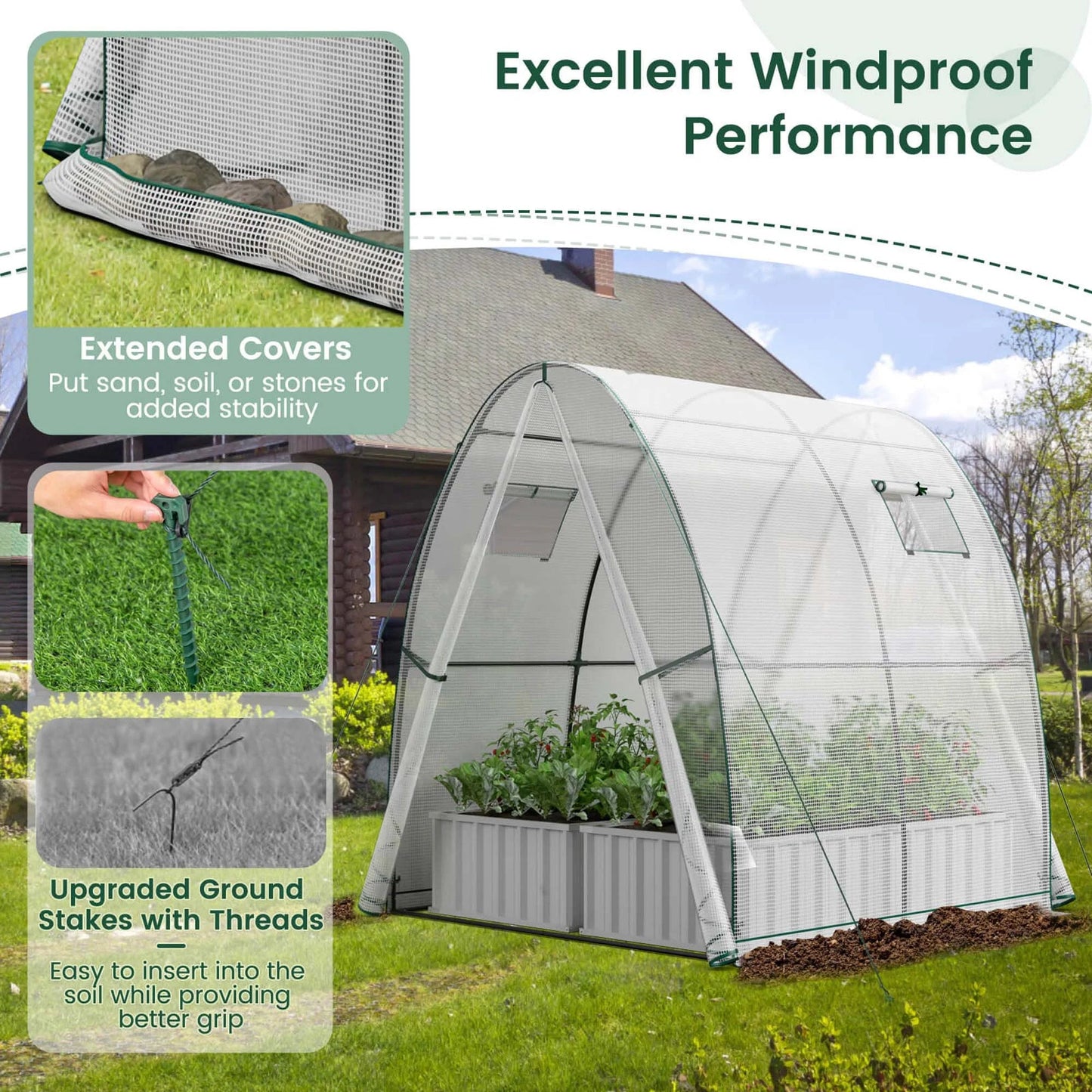 Portable Greenhouse 6x6x6.6 FT: Easy - Access 2 - Door, Ventilated Windows, Spacious Plant Sanctuary - Grow Your Plants in Style! - Nourishment Tapestry