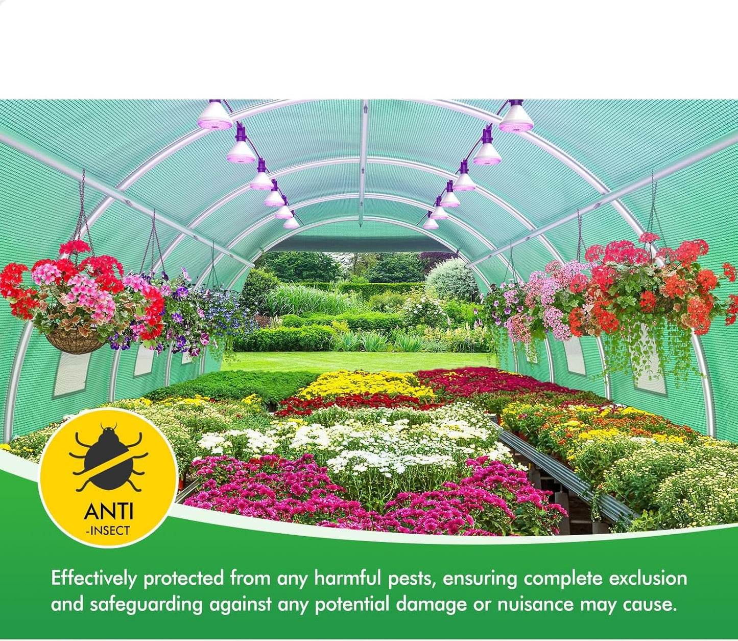 Premium 4x3x2M Steel Frame Walk - In Greenhouse for Year - Round Plant & Flower Cultivation - Nourishment Tapestry