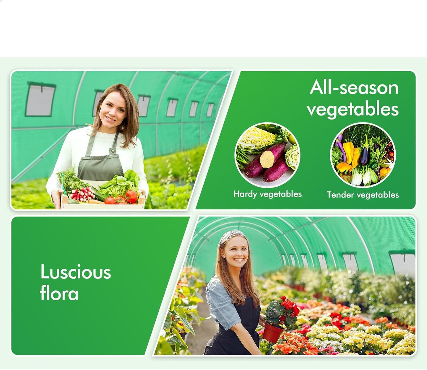 Premium 4x3x2M Steel Frame Walk - In Greenhouse for Year - Round Plant & Flower Cultivation - Nourishment Tapestry