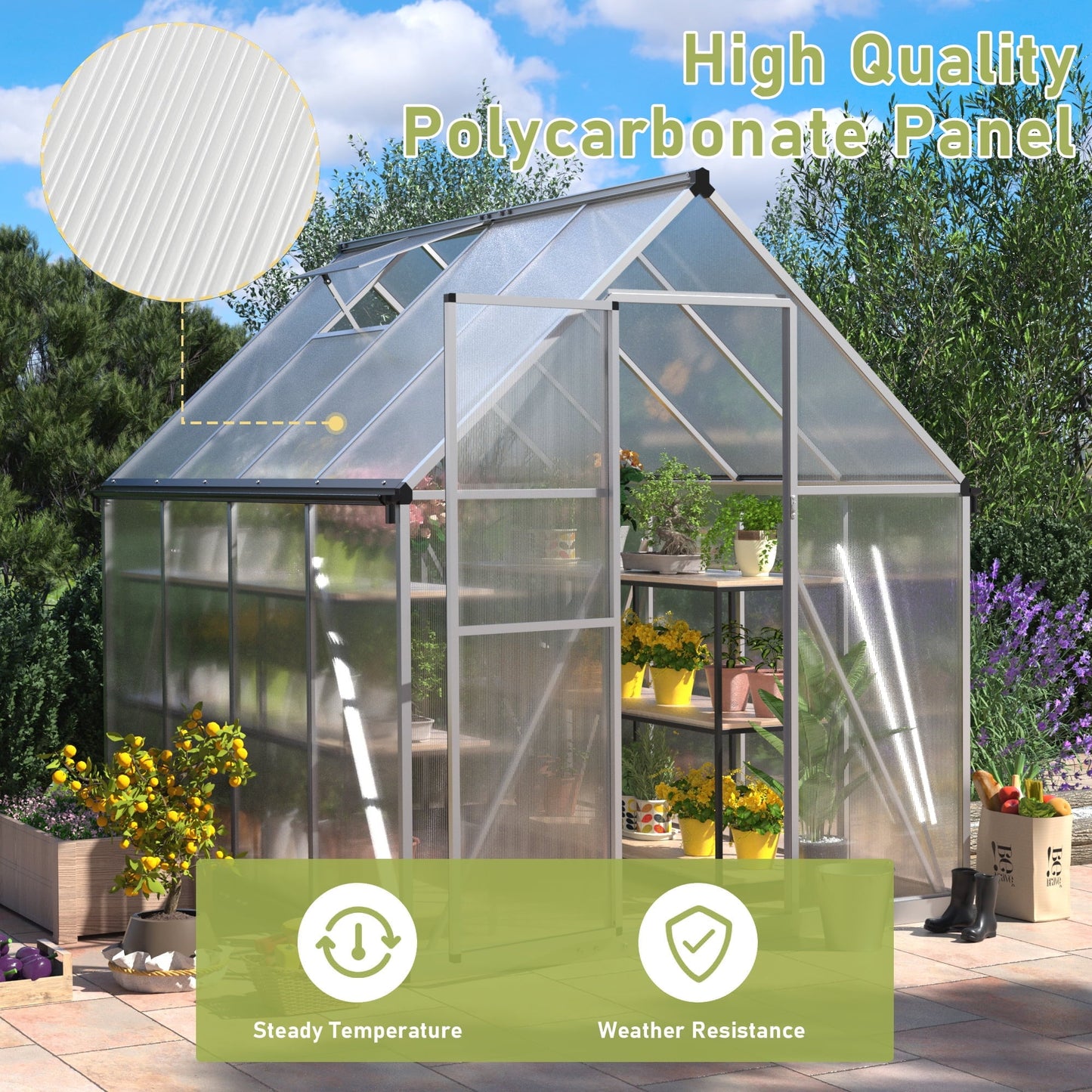 Premium 6x8 Walk - In Polycarbonate Greenhouse with Silver Frame, Roof Vent, and Lockable Doors - Nourishment Tapestry