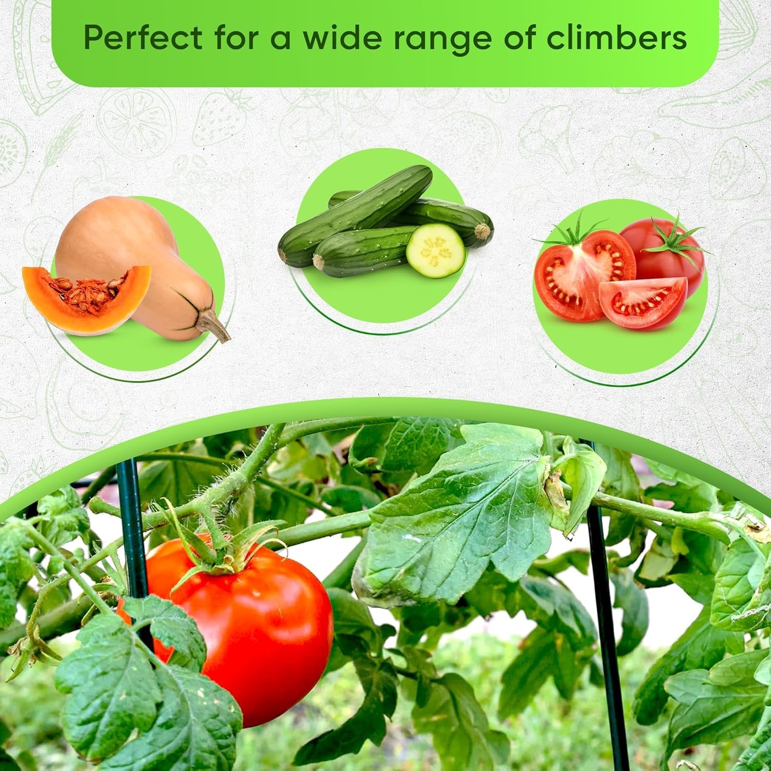 35" X 55" Cucumber Trellis: Raised Bed Garden Support for Climbing Vegetables with Clips & Gloves - Nourishing Tapestry