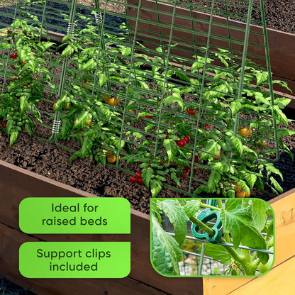 35" X 55" Cucumber Trellis: Raised Bed Garden Support for Climbing Vegetables with Clips & Gloves - Nourishing Tapestry