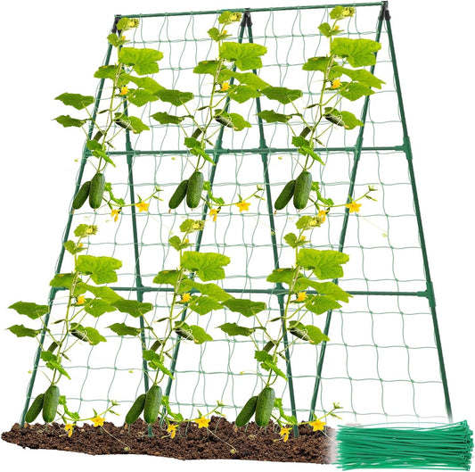 A - Frame Trellis for Climbing Plants: Garden Support for Cucumbers, Tomatoes, and Vegetables - Nourishment Tapestry