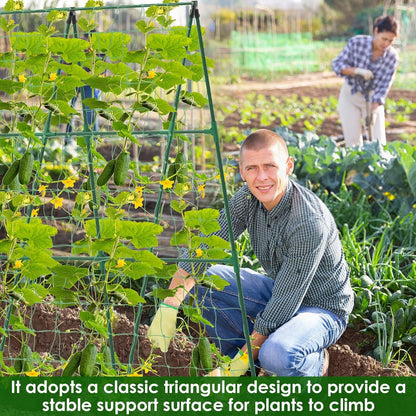 A - Frame Trellis for Climbing Plants: Garden Support for Cucumbers, Tomatoes, and Vegetables - Nourishment Tapestry