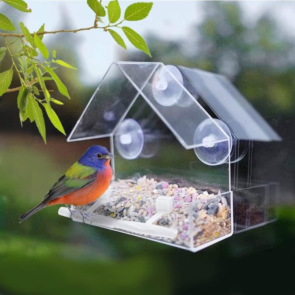 Crystal Clear Window Bird Feeder Set - 2 Pack Acrylic Feeders with Strong Suction Cups & Drainage - Nourishment Tapestry