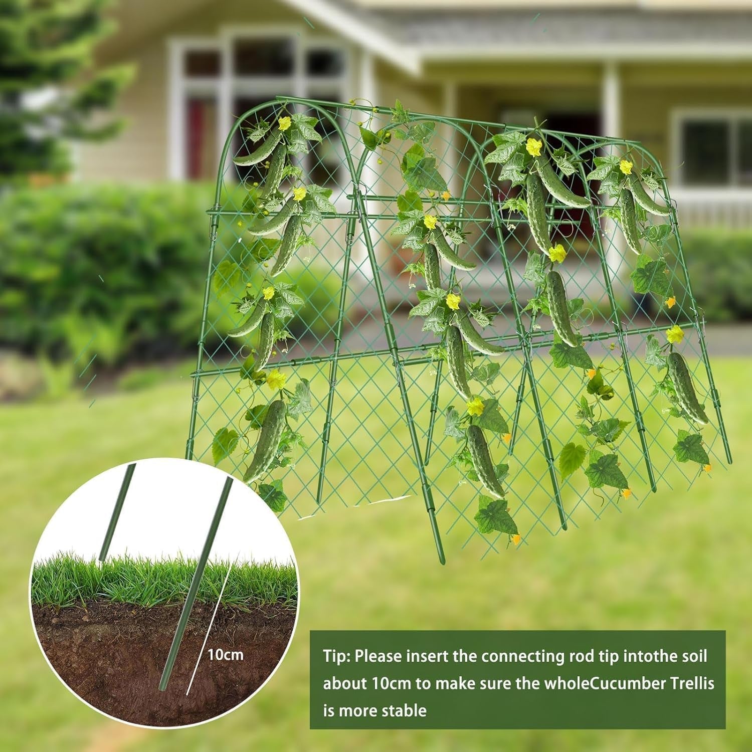 Cucumber Trellis for Garden | U - Shaped Climbing Plant Support with Net - Nourishment Tapestry