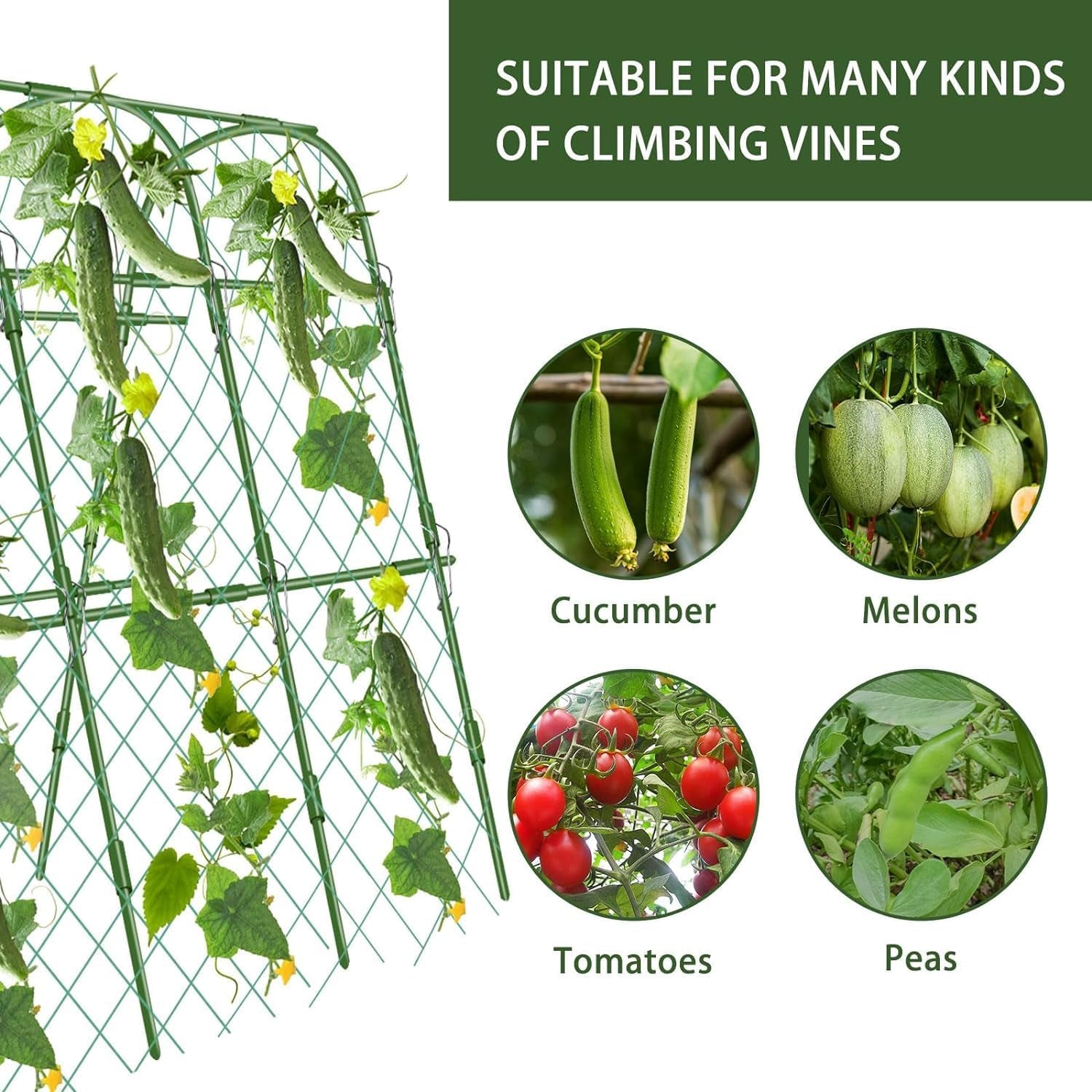 Cucumber Trellis for Garden | U - Shaped Climbing Plant Support with Net - Nourishment Tapestry