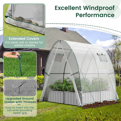 Portable Greenhouse 6x6x6.6 FT: Easy - Access 2 - Door, Ventilated Windows, Spacious Plant Sanctuary - Grow Your Plants in Style! - Nourishment Tapestry