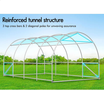 Premium 4x3x2M Steel Frame Walk - In Greenhouse for Year - Round Plant & Flower Cultivation - Nourishment Tapestry