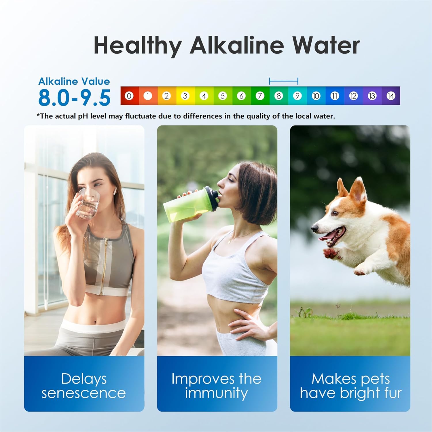 Slim 35 - Cup Alkaline Water Pitcher: pH 9.5, Toxin - Free, Mineralized for Health - Improve Your Health with Alkaline Water Pitcher - Nourishment Tapestry