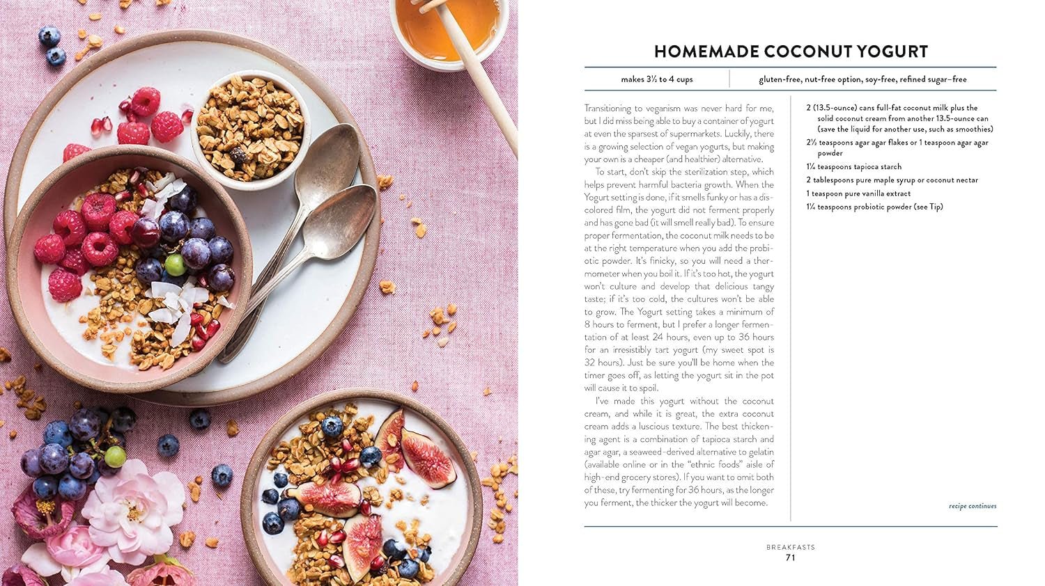 The Vegan Instant Pot Cookbook: Delicious Plant - Based Recipes - Nourishment Tapestry