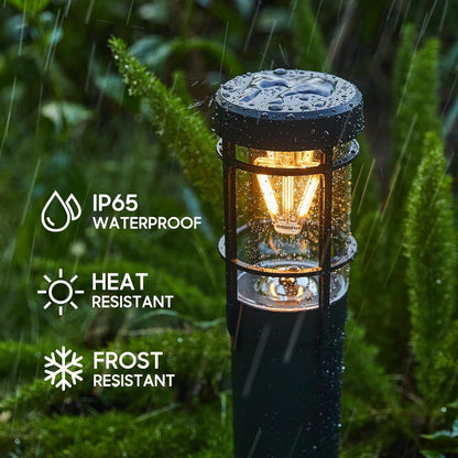 Ultra - Bright Solar Pathway Lights 6 - Pack: Illuminate Your Yard & Walkway - Nourishment Tapestry