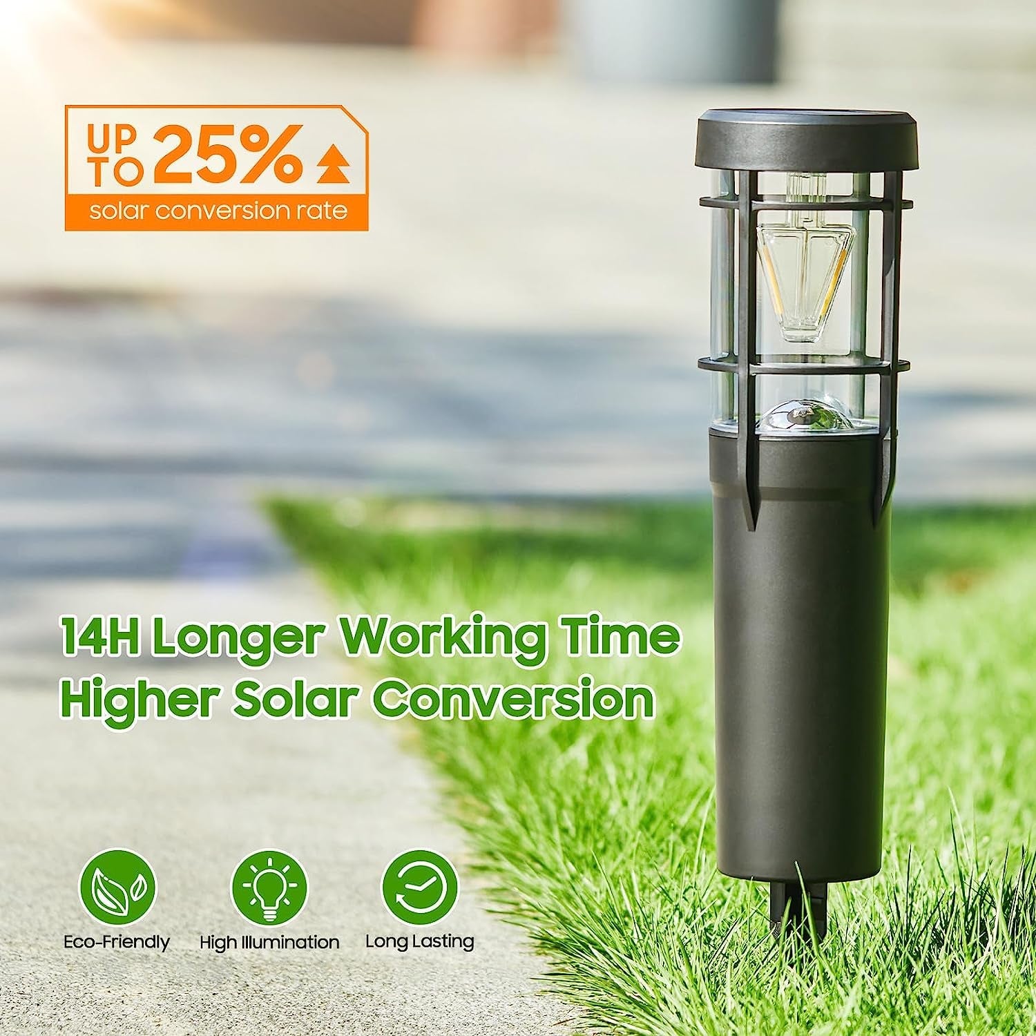 Ultra - Bright Solar Pathway Lights 6 - Pack: Illuminate Your Yard & Walkway - Nourishment Tapestry