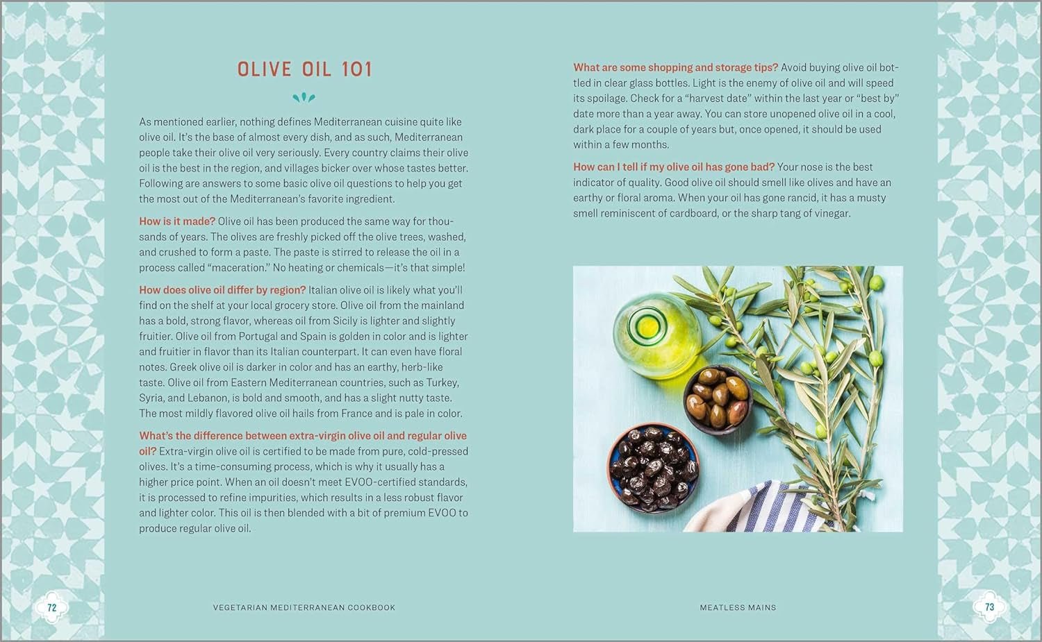 Vegetarian Mediterranean Cookbook: 125+ Healthy Recipes for Well - being - Nourishment Tapestry